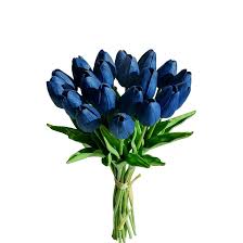 tief Blau Tulpe Blumensamen zur Aussaat – Traditionssorte ohne Gentechnik biologisch Garten Samen – Halbschatten verträglich Keimung