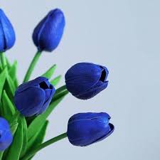 Deep blau tulip blume samen for anpflanzung – heirloom nongmo organic garten samen – shade tolerant high germination
 
 sale for anpflanzung in home garten