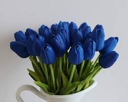 tief Blau Tulpe Blumensamen zur Aussaat – Traditionssorte ohne Gentechnik biologisch Garten Samen – Halbschatten verträglich Keimung