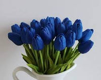 tief Blau Tulpe Blumensamen zur Aussaat – Traditionssorte ohne Gentechnik biologisch Garten Samen – Halbschatten verträglich Keimung