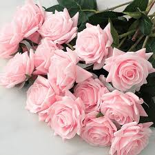 Light rosa home garten rose blume samen heirloom nongmo organic garten samen for anpflanzung
 
 sale for anpflanzung in home garten