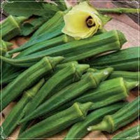 Okra Samen Lady Finger