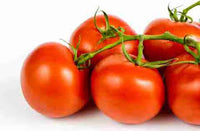 ACE 55 Traditionell Tomate Samen for Delicious Homegrown Tomatees