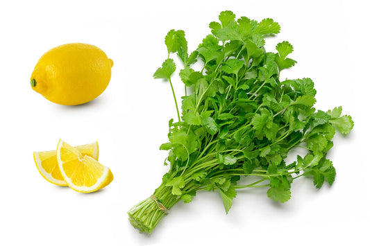 biologisch Dwarf Zitrone Cilantro Samen Coriandrum sativum Aromatic Kraut