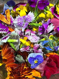 hochwertig essbar Blume Samen Pack for Colorful Gardens