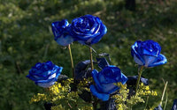 Elegant dark blau rose blumen in full bloom