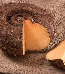 Elephant Foot Yam Blumensamen zur Aussaat – leuchtend – Traditionssorte & ohne Gentechnik Samen Hausgarten