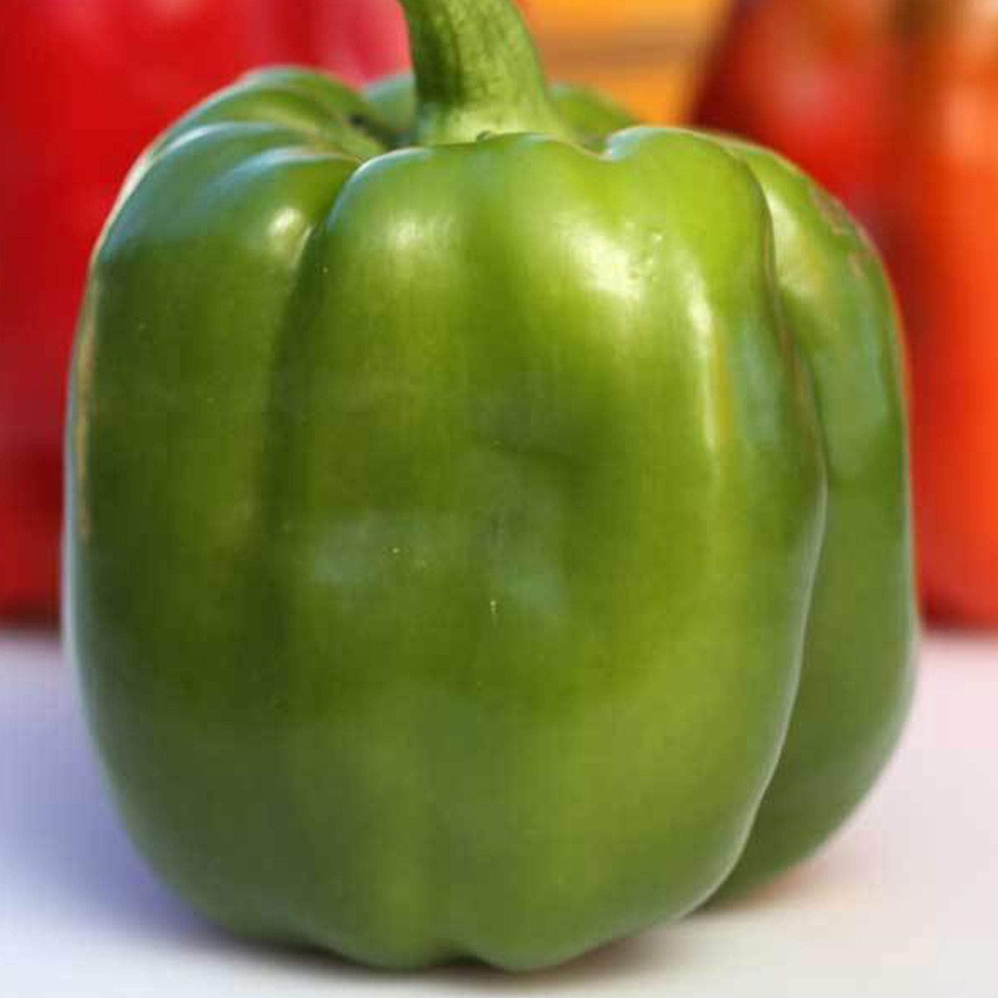 Emerald riesige pepper pflanzen wachsend in garten