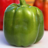 Emerald riesige pepper pflanzen wachsend in garten