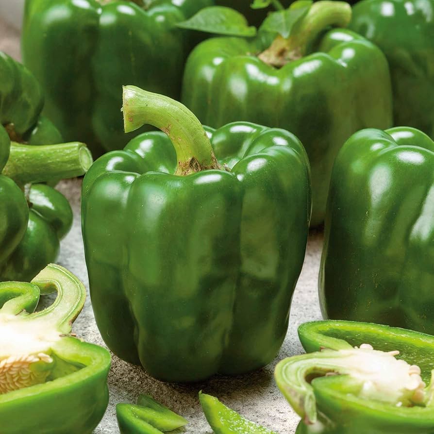 Emerald riesige pepper samen für home garten aussaat