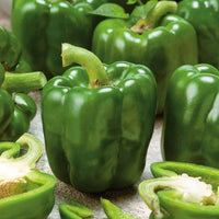 Emerald riesige pepper samen für home garten aussaat