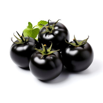 Exotic schwarze tomato samen für aussaat in home gardens