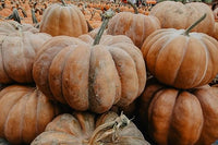 Fairytale pumpkin samen cucurbita pepo für garten aussaat