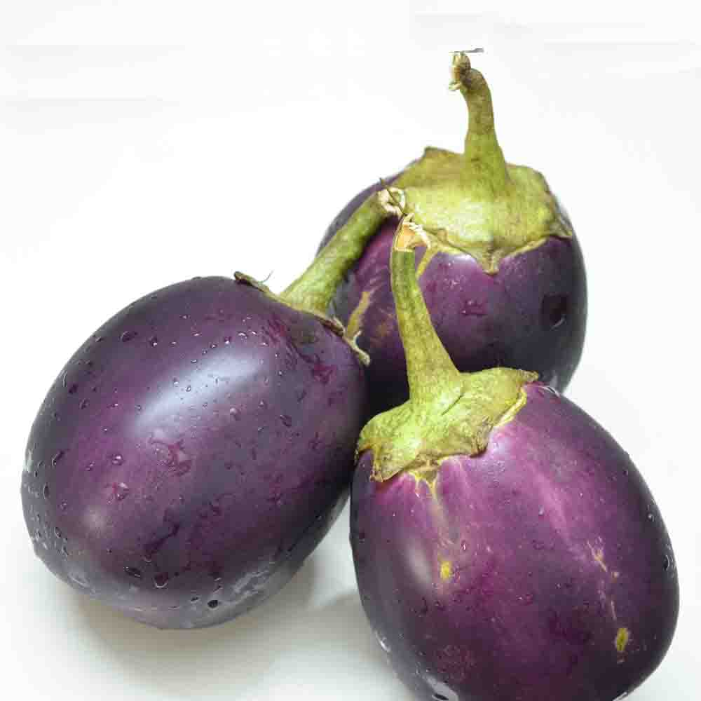 Blühendes eggplant samen with strong germination