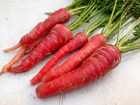 Carrot samen für fresh garten gemüse