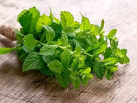 Close-up of frisch green mint leaves