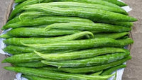 Green Serpent Gourd Gemüse Planting Samen