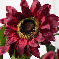 Sonnenblume Blumensamen zur Aussaat – duftend Blüten – Traditionssorte & ohne Gentechnik Samen Hausgarten