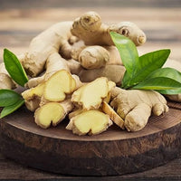 Ginger pflanzen wachsend in garten