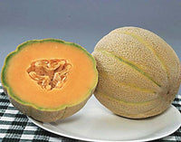 Halona melon samen für productive garten harvest