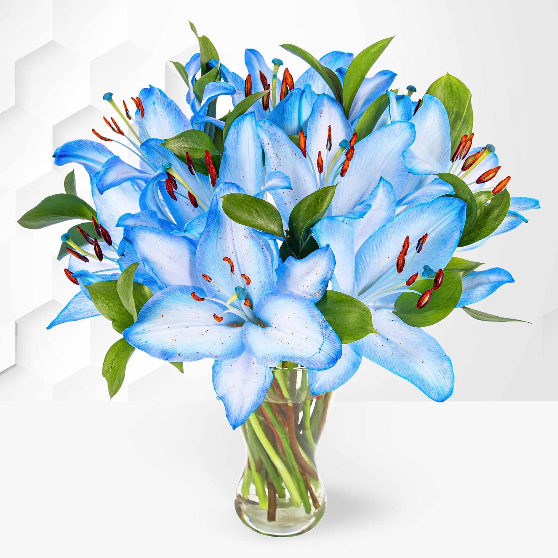 Garten lilium blau weiß samen