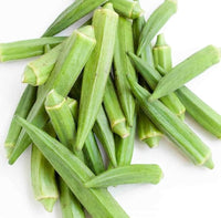 Okra pflanzen wachsend in garten bed