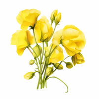 Sweet pea gelb blumen climbing on garten trellis