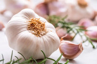 cultivate fresh produce with garlic vegetable samen für pflanzung white perfect für growing nutritious and flavorful vegetables Stück, 100 Stück