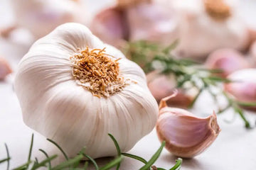 cultivate fresh produce with garlic vegetable samen für pflanzung white perfect für growing nutritious and flavorful vegetables Stück, 100 Stück