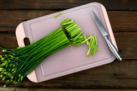 Chinese Leek Garlic Chives Allium Tuberosum gentechnikfrei Samen