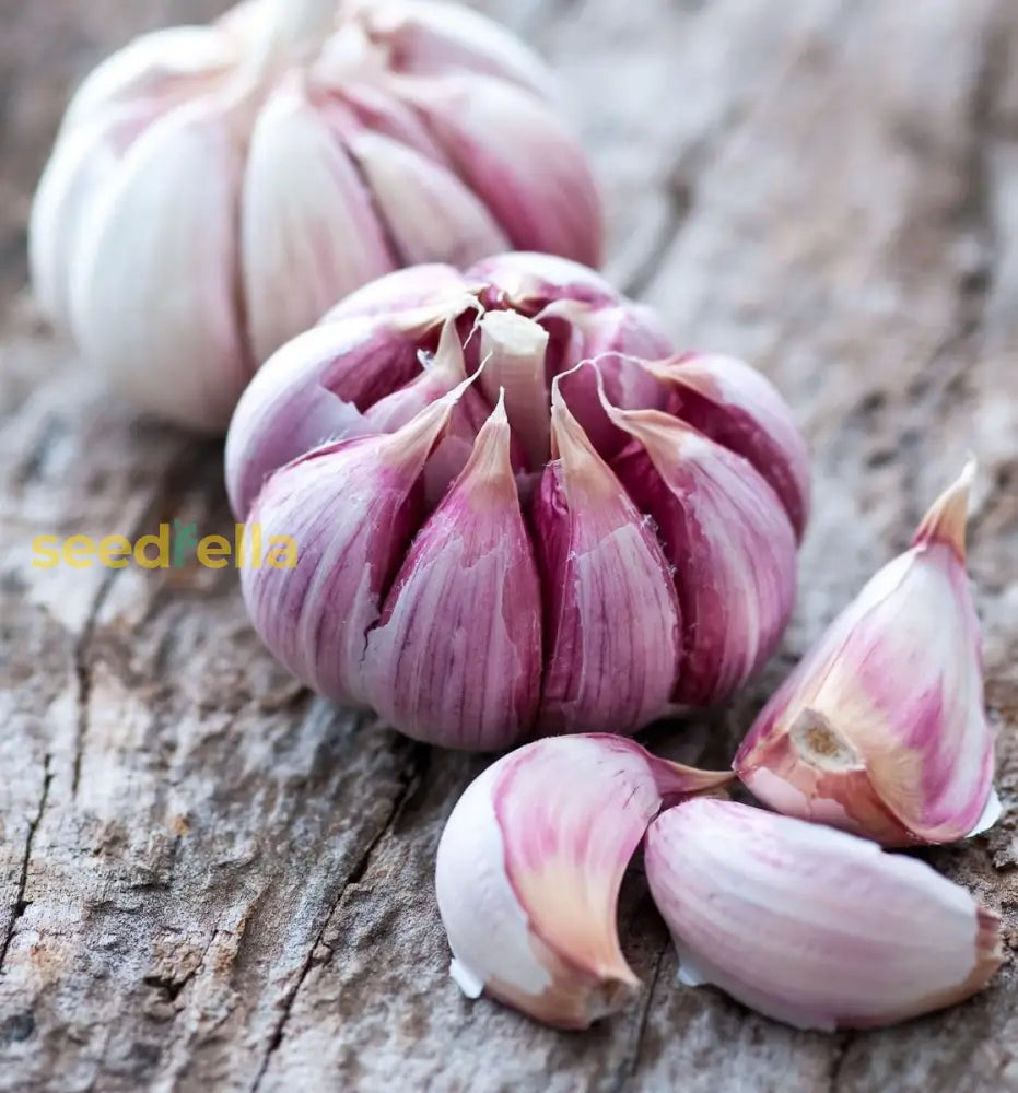 Garlic Vegetable Samen For Aussaat: Add Exotic Charm To Your Garten Kraut