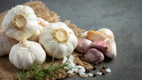 Gemüse knoblauch samen für aussaat - premium flavorful bulbs home gardening and culinary use