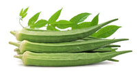 Riesige okra samen für home garten and urban gardening