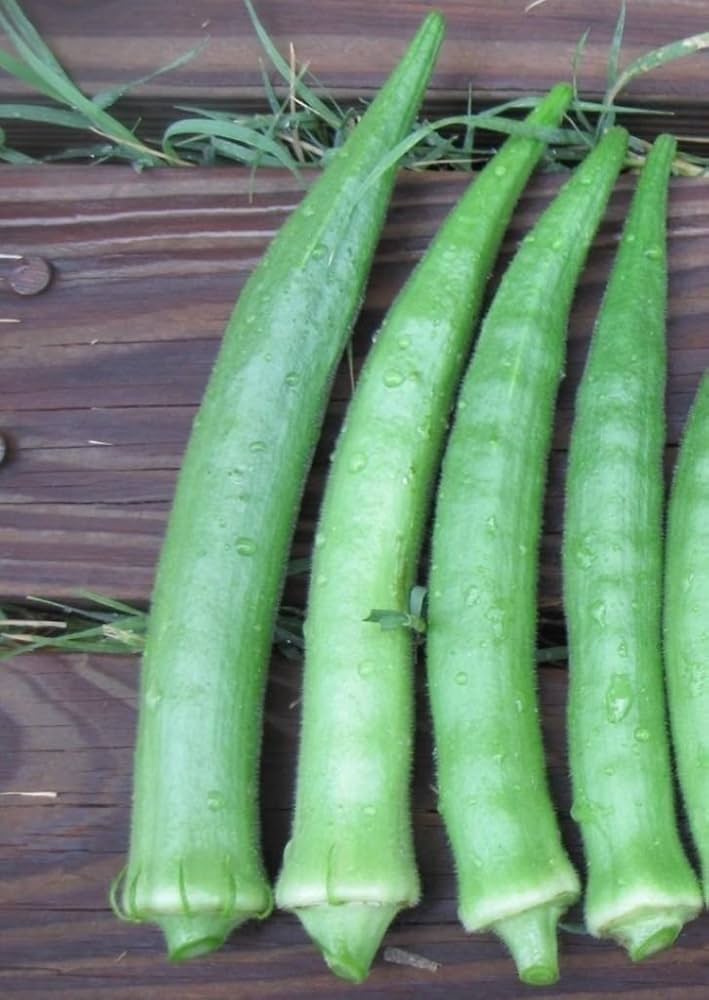 Riesige okra samen für aussaat non gmo high yield variety