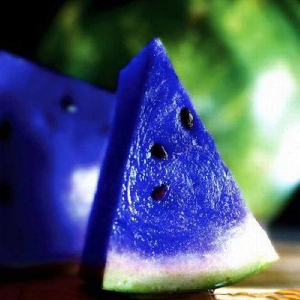 Organic riesige watermelon pflanzen gezogen aus samen in garten