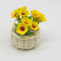Gelb gloxinia samen for borders and garten beds
