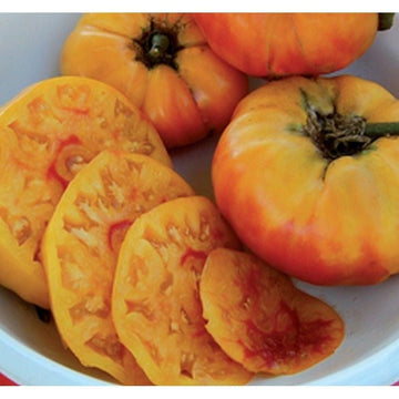 Gold medal gelbe tomato samen für aussaat