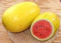 Asian hybrid watermelon gezogen aus golden pioneer hybrid samen