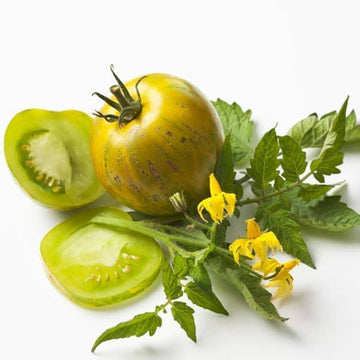 Grüne ball tomato samen grüne zebra cherry tomato samen für aussaat