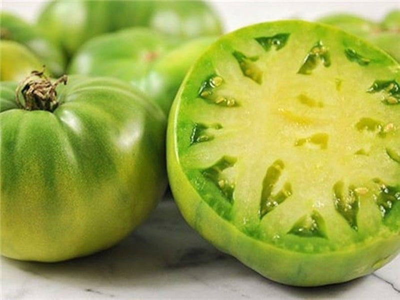 Grüne riesige traditionelle tomato pflanze with große fruits