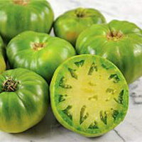 Grüne riesige tomato samen für aussaat
