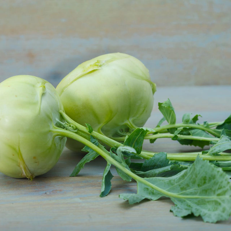 Grüne kohlrabi pflanzen wachsend in a garten