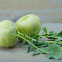 Grüne kohlrabi pflanzen wachsend in a garten