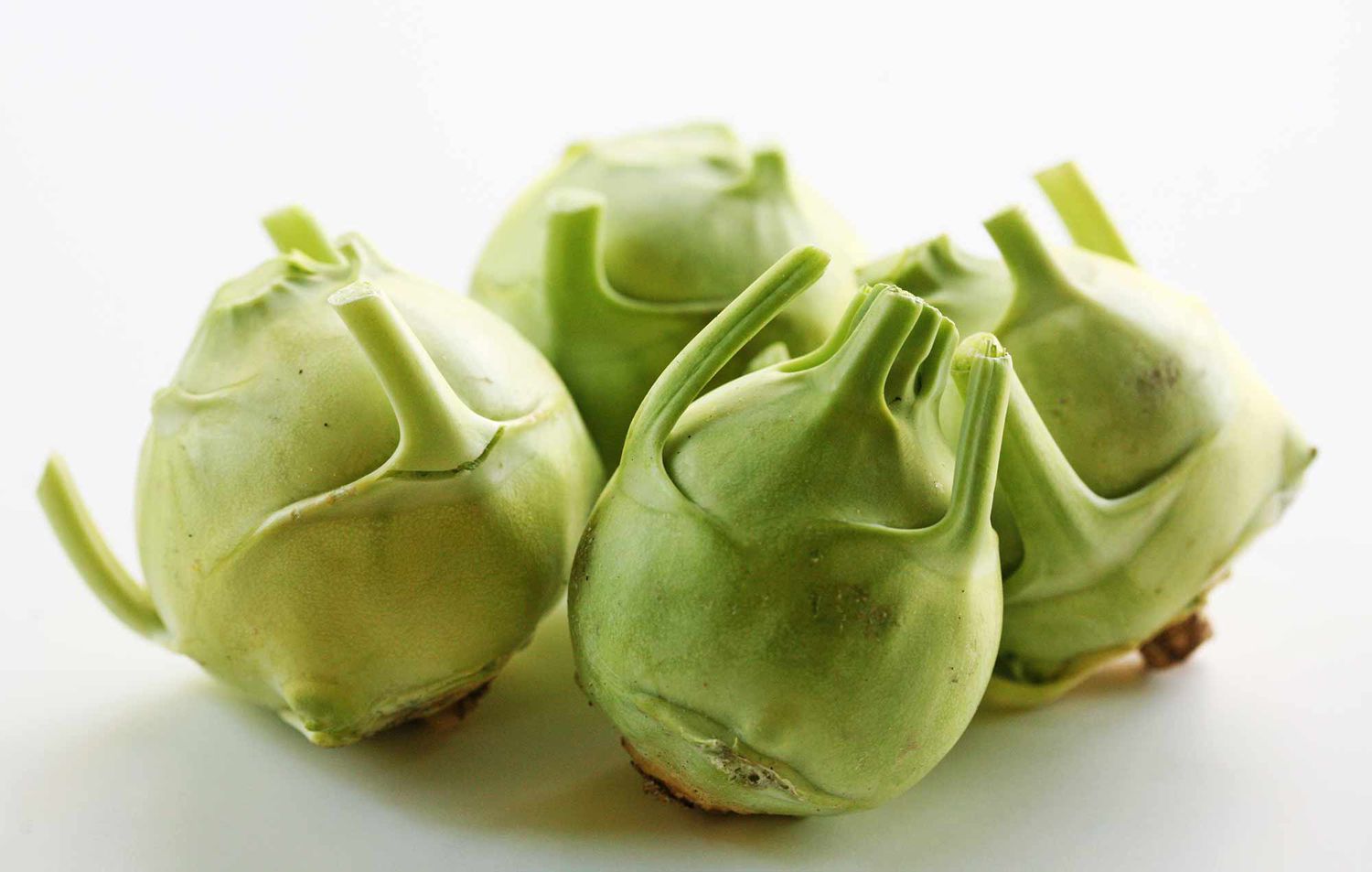 Grüne kohlrabi samen für aussaat