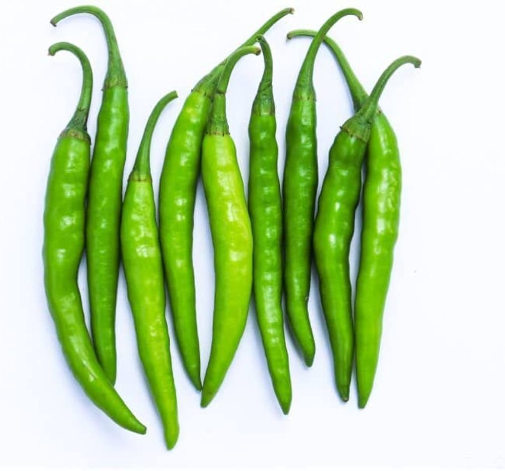 Grüne pepper samen für aussaat süße peppers