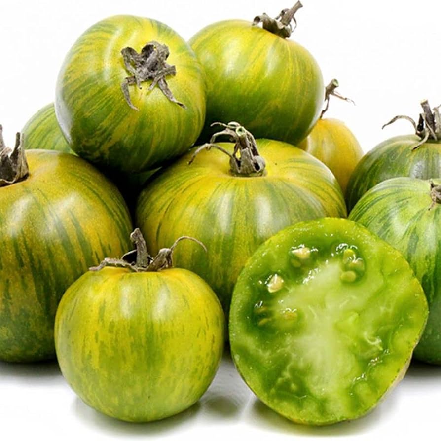 Grüne zebra tomato samen für aussaat