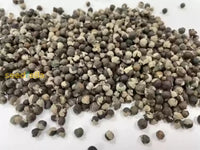 anbauen Nirgundi Samen – Hardy Perennial Ornamental Pflanze