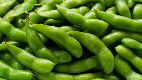 Edamame Gemüsesamen - Easy Planting for Home Gardens
