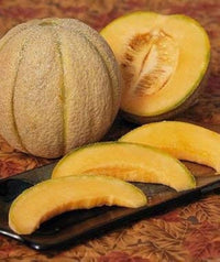 Halona hybrid melon samen für aussaat