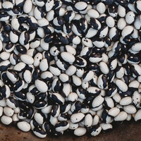 Freshly harvested schwarze and weiße beans